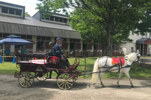 馬車