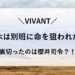 VIVANT 羊 77頭