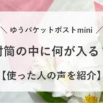 ゆうパケットポスト mini 何が入る