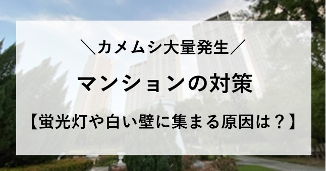 カメムシ 大量発生 マンション