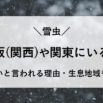 雪虫 大阪 関東 うざい 生息地域