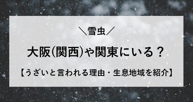 雪虫 大阪 関東 うざい 生息地域