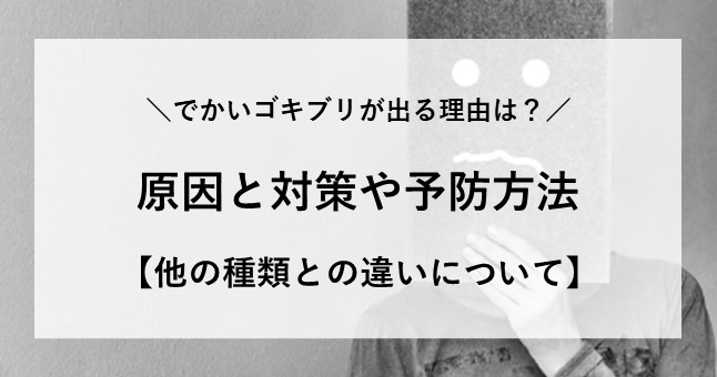 でかいゴキブリが出る 理由