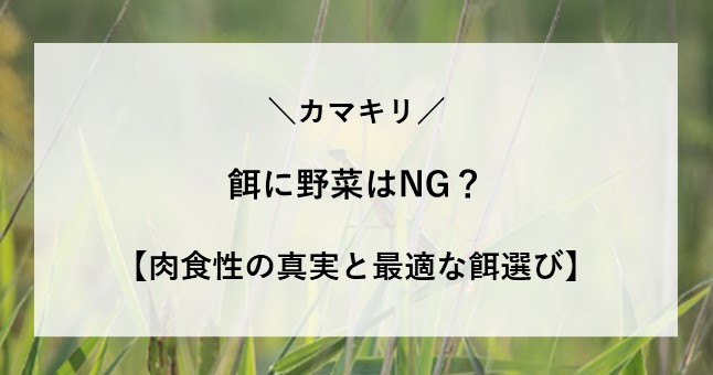 カマキリ 餌 野菜