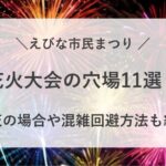 海老名市民祭り 花火 穴場 雨天 打ち上げ場所