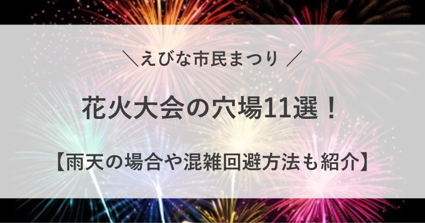 海老名市民祭り 花火 穴場 雨天 打ち上げ場所