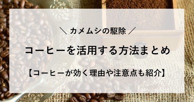 カメムシ 駆除 コーヒー