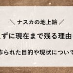 ナスカの地上絵 なぜ消えない