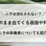 ニラ 消化 されない