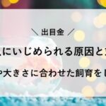 出目金 金魚 いじめ 対策