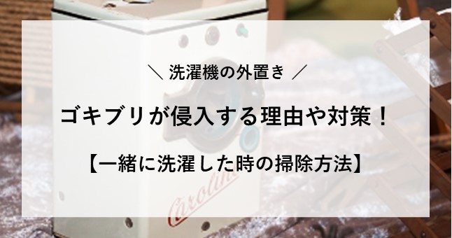 洗濯機 外置き ゴキブリ