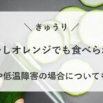 きゅうり 中が少し オレンジ 食べられる