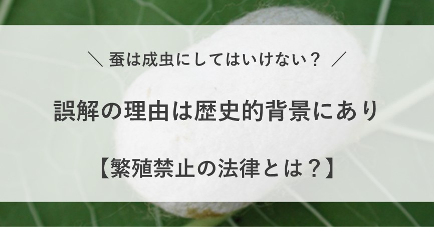 蚕 成虫にしてはいけない 理由