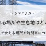 シマエナガ 見れる 場所 生息地