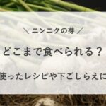 ニンニクの芽 どこまで 食べられる