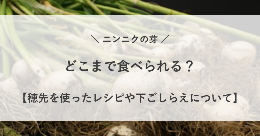 ニンニクの芽 どこまで 食べられる