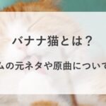 バナナ猫 とは 何