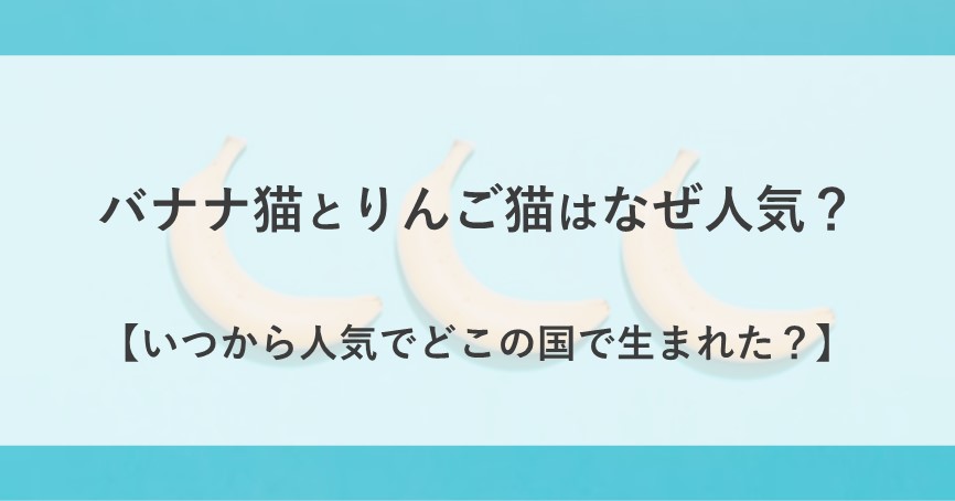 バナナ猫 りんご猫 なぜ人気